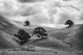 Nowhere #1- Northern California
