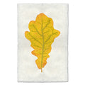 Oak Leaf fall leaves wall art print — fine art botanical photography on handmade paper, San Francisco