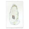 Oyster Study #11