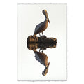 Pelican coastal wall art print — fine art coastal photography on handmade paper, San Francisco