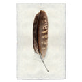 Peregrine Falcon colored feather wall art print — fine art feather photography on handmade paper, San Francisco