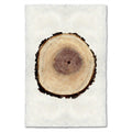 Poplar wood slice wall art print — fine art Organic photography on handmade paper, San Francisco