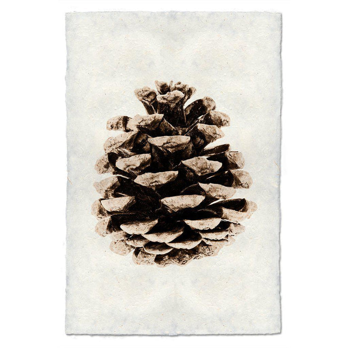 Red Leaf Pine earthy wall art print — fine art Organic photography on handmade paper, San Francisco