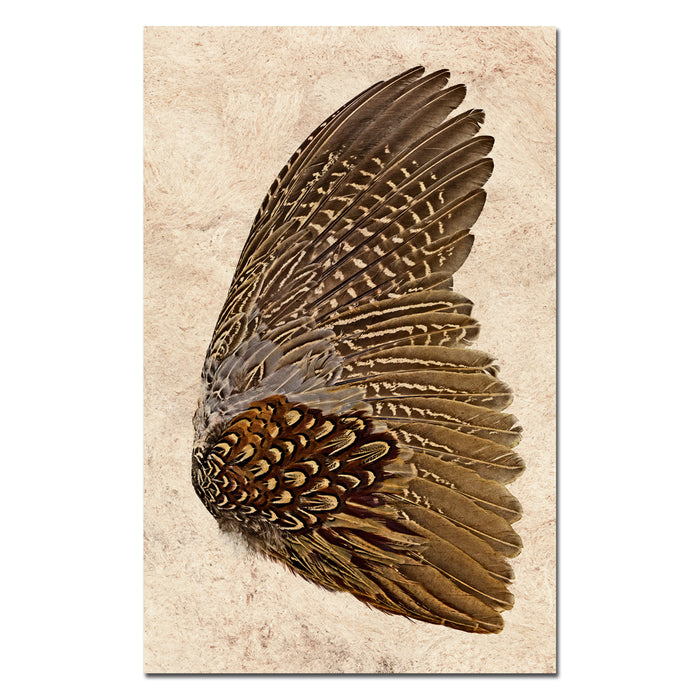 Ring Neck Pheasant (right)