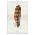 Rooster colored feather wall art print — fine art feather photography on handmade paper, San Francisco