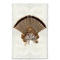 Ruffed Grouse Tail nature wall art print — fine art nature photography on handmade paper, San Francisco