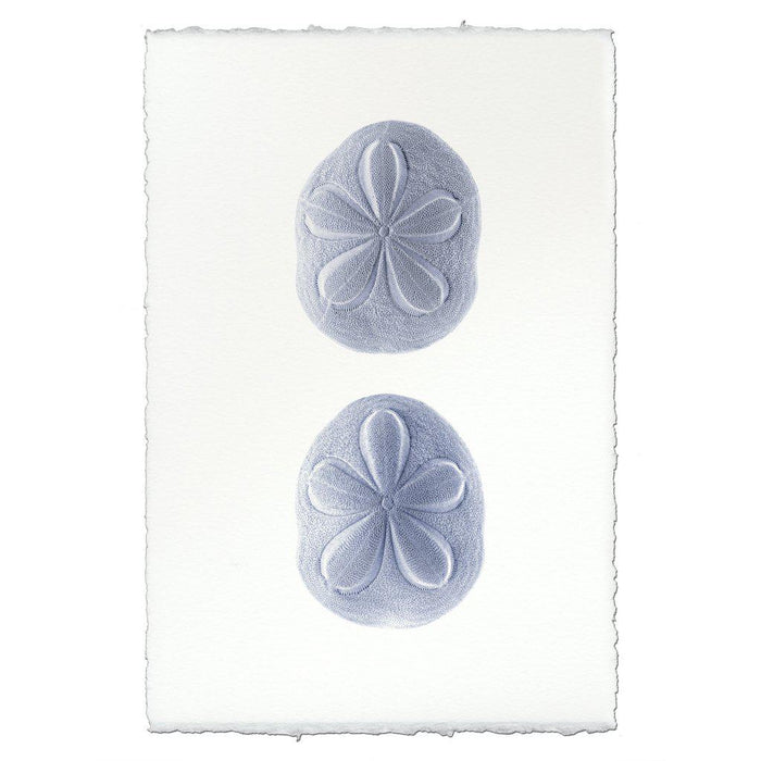 Sea Biscuits coastal wall art print — fine art coastal photography on handmade paper, San Francisco