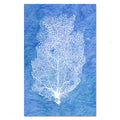Sea Fan #2