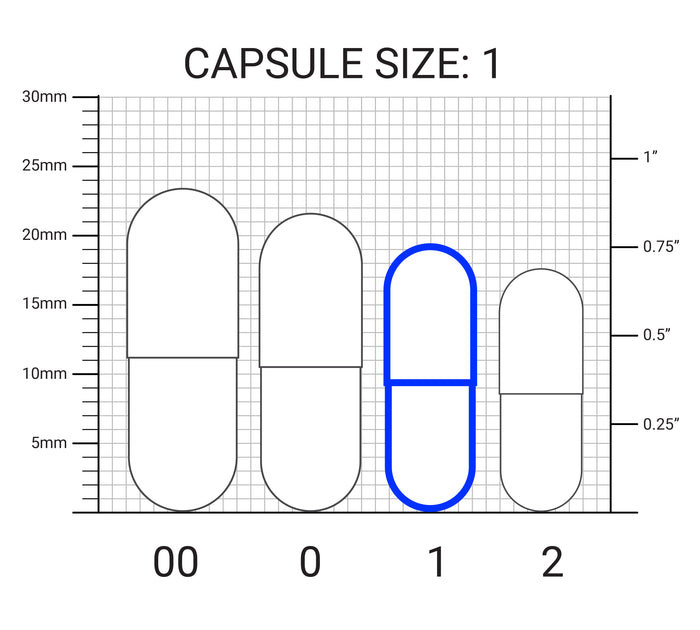 Diagram showing the size one capsule — second smallest of the four sizes shown. Length: 19.4 millimeters, or 0.76 inches.