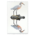 Snowy Egret coastal wall art print — fine art coastal photography on handmade paper, San Francisco