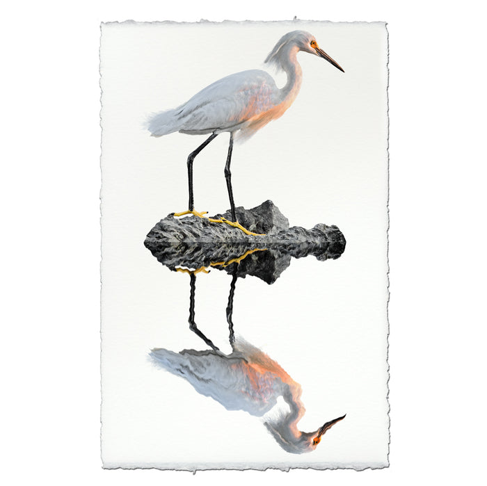 Snowy Egret coastal wall art print — fine art coastal photography on handmade paper, San Francisco