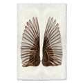 Sparrow Wings nature wall art print — fine art nature photography on handmade paper, San Francisco