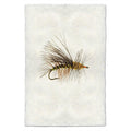 Stimulator fly fishing wall art print — fine art fly fishing photography on handmade paper, San Francisco