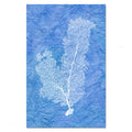 Tall Sea Fan