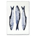 Three Herring coastal wall art print — fine art coastal photography on handmade paper, San Francisco