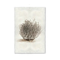 Tumbleweed #1 boho wall art print — fine art Desert photography on handmade paper, San Francisco