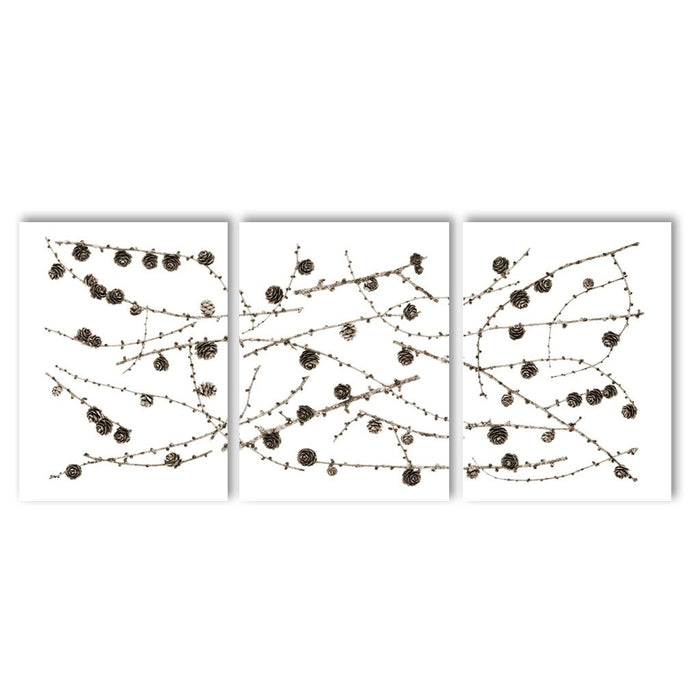 Twigs and Cones Trilogy