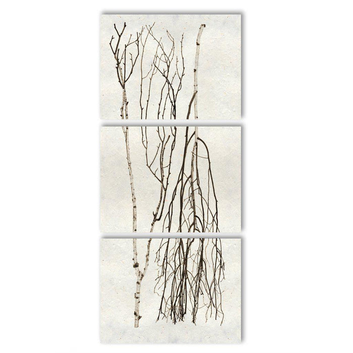 Two Birches Trilogy