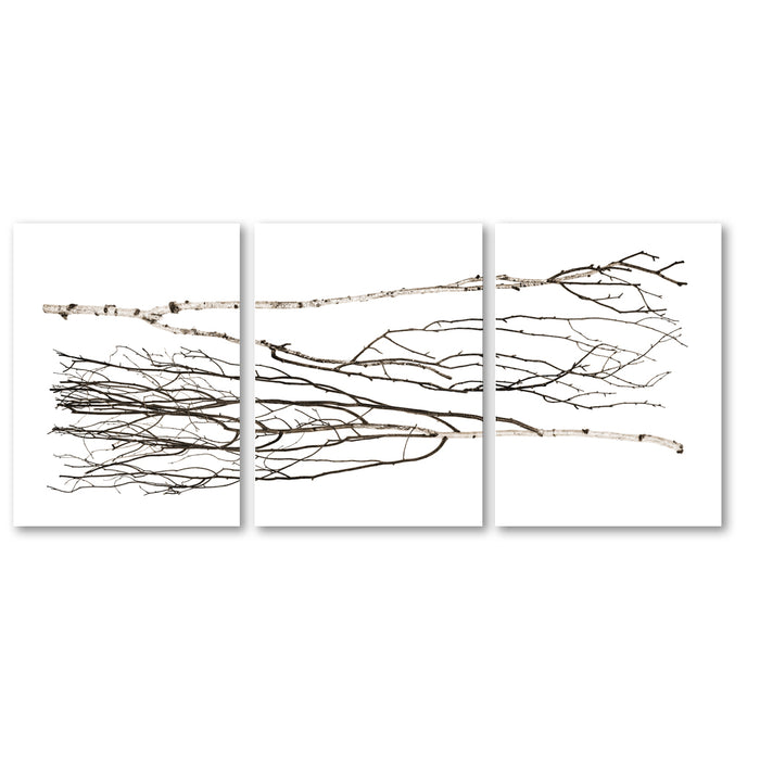Two Birches Trilogy