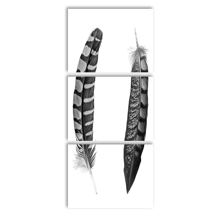 Two Curved Feathers Trilogy