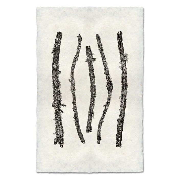 Vertical Twigs #1 botanical wall art print — fine art minimalist photography on handmade paper, San Francisco