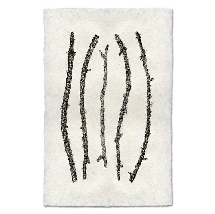 Vertical Twigs #2 botanical wall art print — fine art minimalist photography on handmade paper, San Francisco
