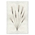 Wheat Form #2 natural forms wall art print — fine art natural forms photography on handmade paper, San Francisco