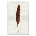 Woodcock colored feather wall art print — fine art feather photography on handmade paper, San Francisco