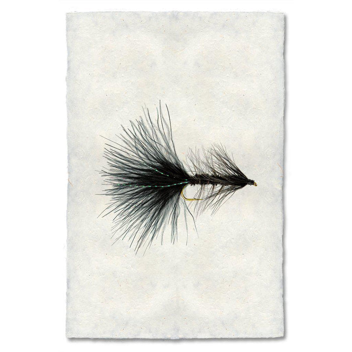 Woolly Bugger fly fishing wall art print — fine art fly fishing photography on handmade paper, San Francisco