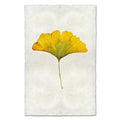 Yellow Ginkgo fall leaves wall art print — fine art botanical photography on handmade paper, San Francisco